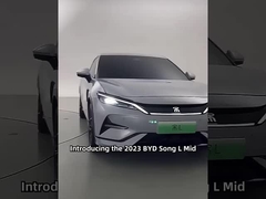 Vehículos de conducción a mano derecha BYD Dolphin Hatchback