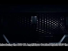 Vehículos de conducción a mano derecha BYD Dolphin Hatchback